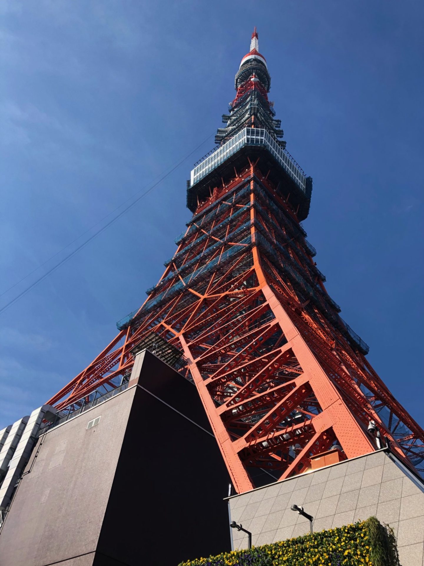 東京タワーを正面から撮影